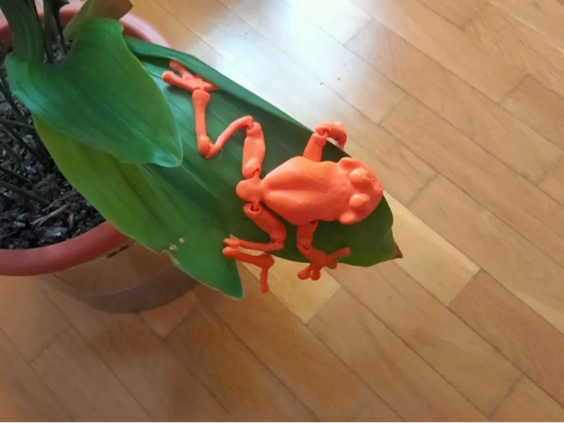Ranita - Flexi Frog