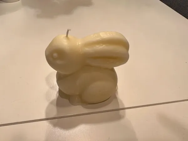 https://makerworld.bblmw.com/makerworld/model/US5164f408b3036/design/aaf89f090301818d.jpg