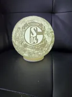 Schalke in 170mm