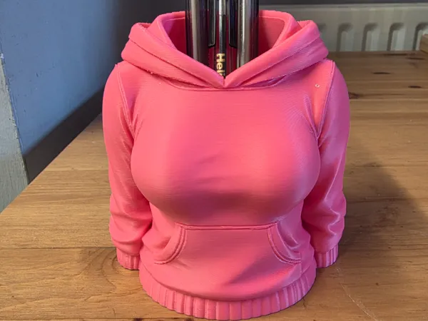 https://makerworld.bblmw.com/makerworld/model/US516bb879e62a9d/design/2025-12-19_29dcde927d96f8.jpg
