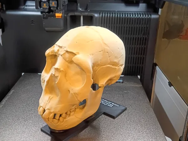 https://makerworld.bblmw.com/makerworld/model/US516c3ecad7bc06/design/2025-12-10_13543f009d95e.jpg