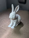[Smooth Fur] 0.2mm layer, 2 walls, 5% infill