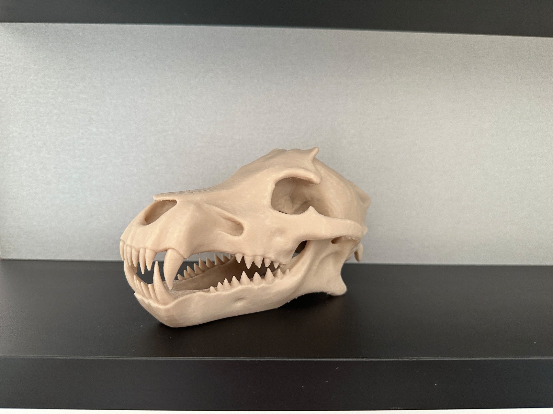 Hellhound skull