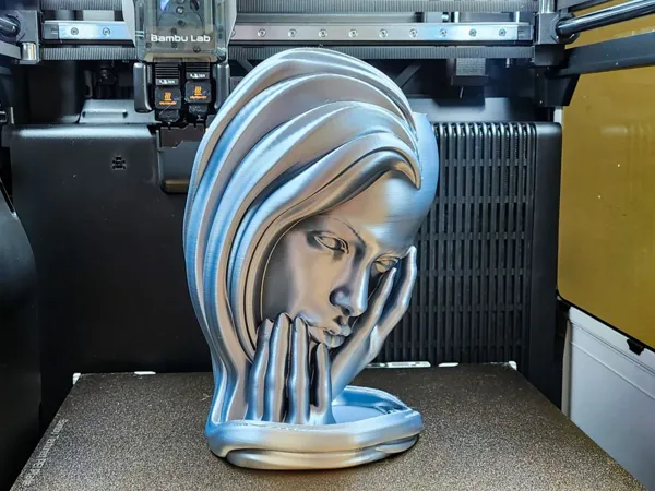 https://makerworld.bblmw.com/makerworld/model/US517e05abbd9f8c/design/2025-07-08_b6341d3871efd.jpg