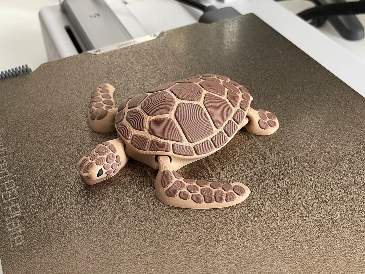 Articulated Sea Turtle (singlecolor & multicolor) view 4
