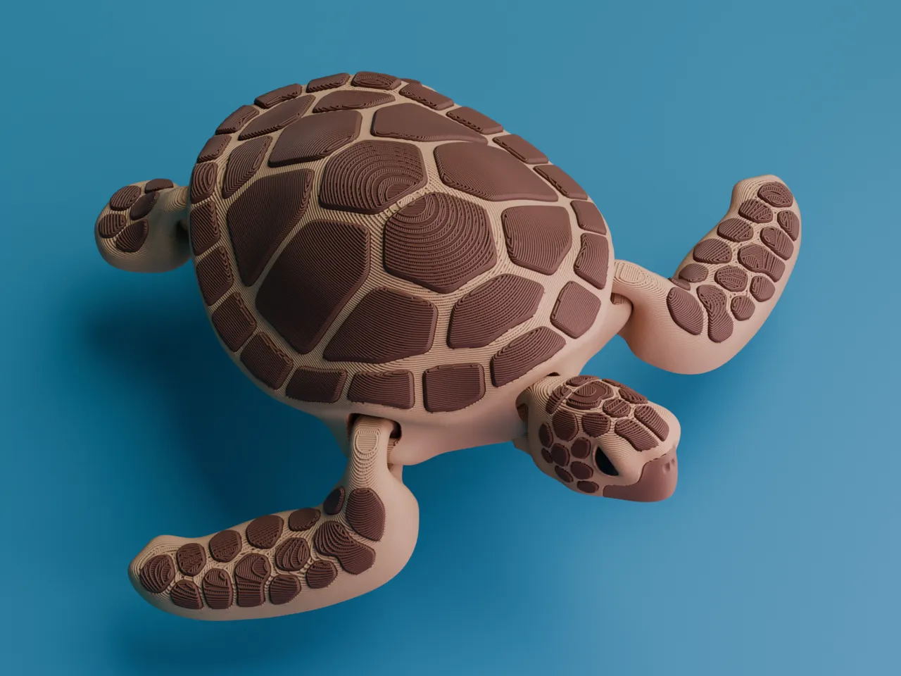 Articulated Sea Turtle (singlecolor & multicolor) view 3