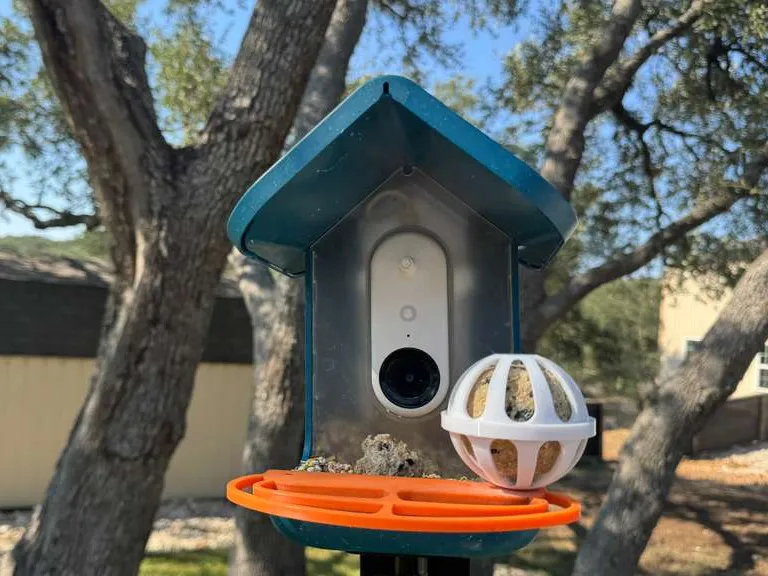 Bird Buddy Suet Ball Holder