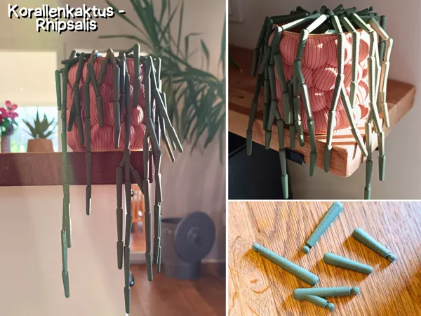 https://makerworld.bblmw.com/makerworld/model/US5189b86c0f6536/design/2025-01-31_5d31ffe23c662.jpg