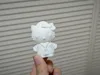 Monochromatic, 0.2mm layer, 2 walls, 10% infill