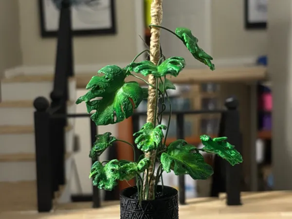 https://makerworld.bblmw.com/makerworld/model/US518eb2bfa867f5/design/2025-08-04_94763f8cbacbd8.jpeg