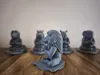 Zen Lion – Mindful Savana Series Single Color