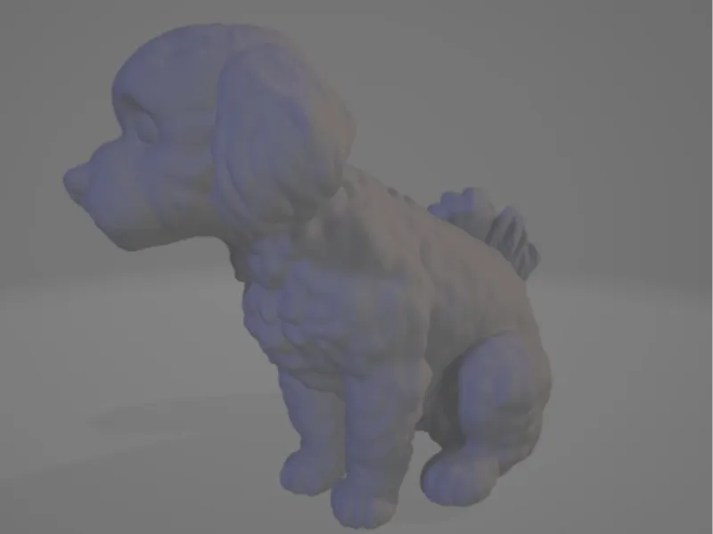 maltese dog