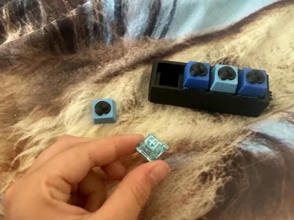 https://makerworld.bblmw.com/makerworld/model/US5192f5179f2b76/design/2025-07-29_018ed21c488638.jpg