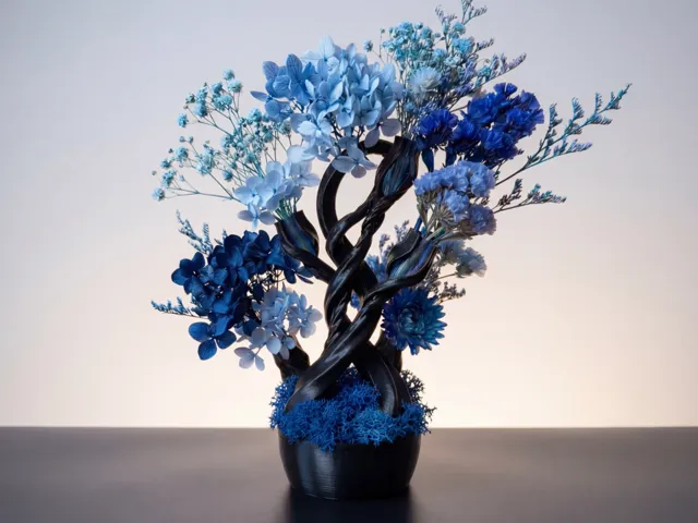 Spiral Bonsai