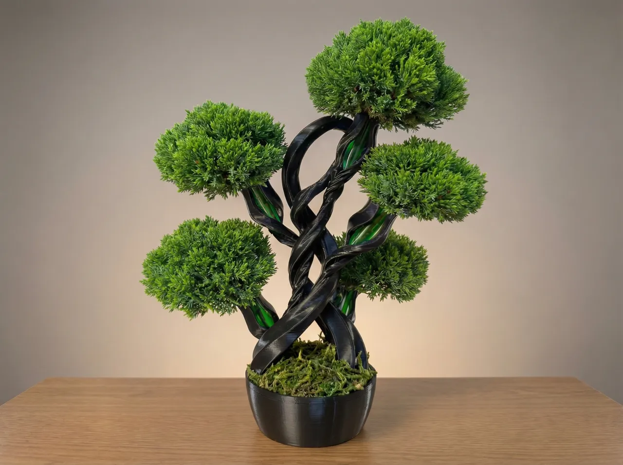 Spiral Bonsai view 4