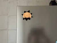 2 colours NO-AMS with filament change