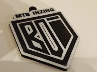 BOI Keychain