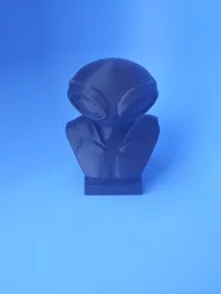 0.12mm layer, 2 walls, 5% infill
