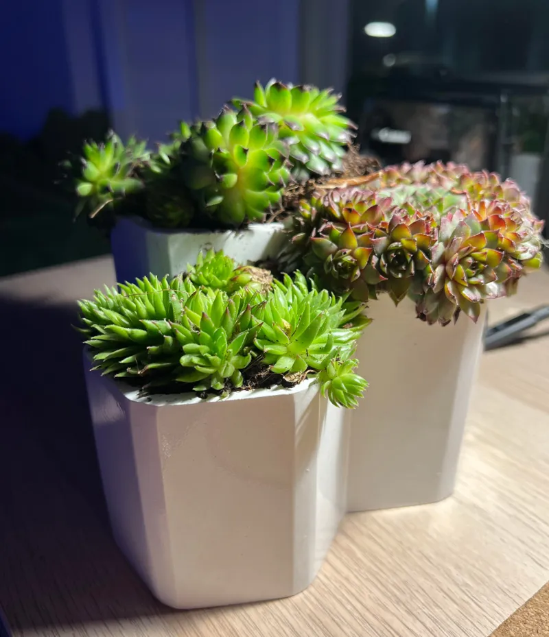 Hexagonal Triple Flower Pot