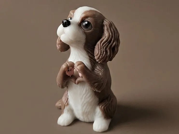 Cavalier King -  "Heart-Paws"