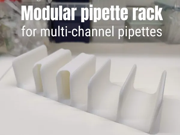 https://makerworld.bblmw.com/makerworld/model/US519c4a9a76b8d5/design/b3b9f647da977545.jpg