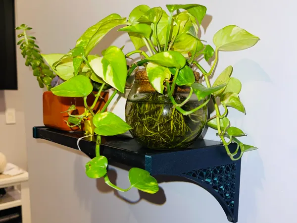 https://makerworld.bblmw.com/makerworld/model/US519d053267737a/design/2024-12-22_1ea5b9c8cd44.jpeg