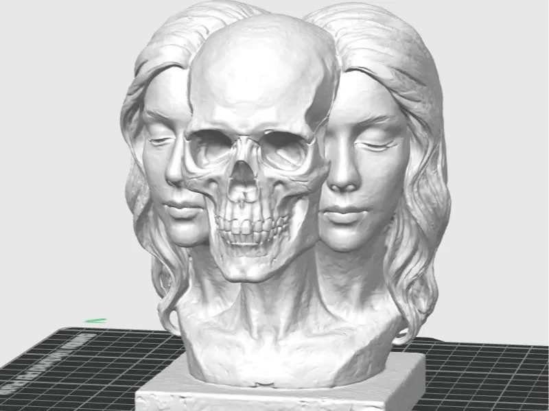 Buste crâne double femme