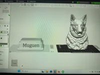 0.16mm layer, 3 walls, 15% infill