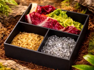 Modular Insect Feeding Bowl (104×104×40 mm)