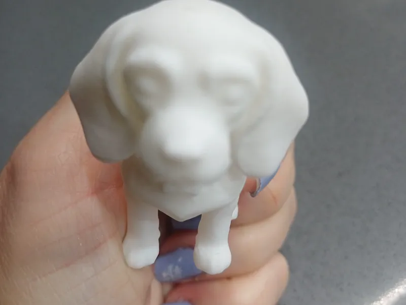 perro beagle