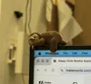 Sleepy Sloth Monitor Buddy - Free 3D Print Model - MakerWorld