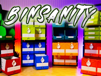 Binsanity Pull Out Organizer System