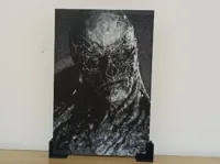 0.08mm layer, 2 walls, 100% infill