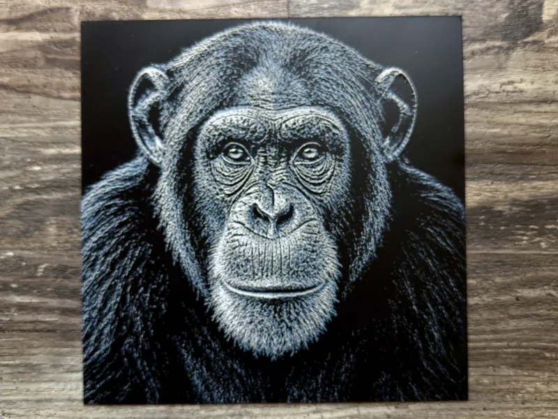 Chimpanzee Wildlife Series