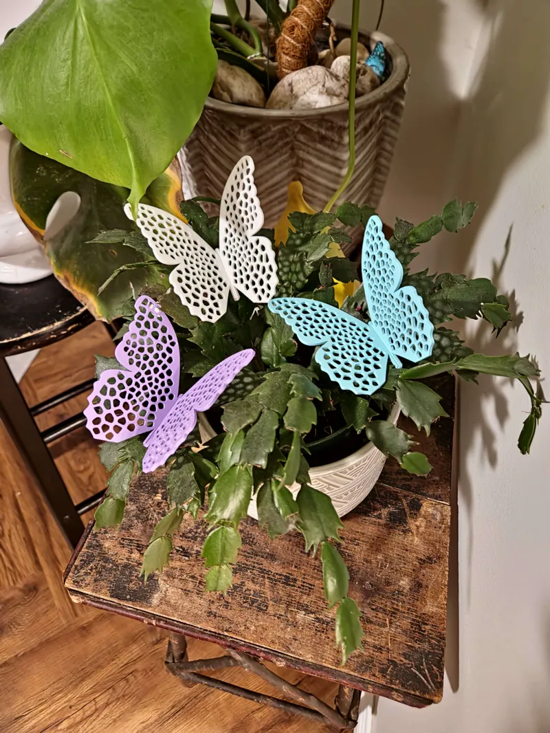 Voroni Butterfly