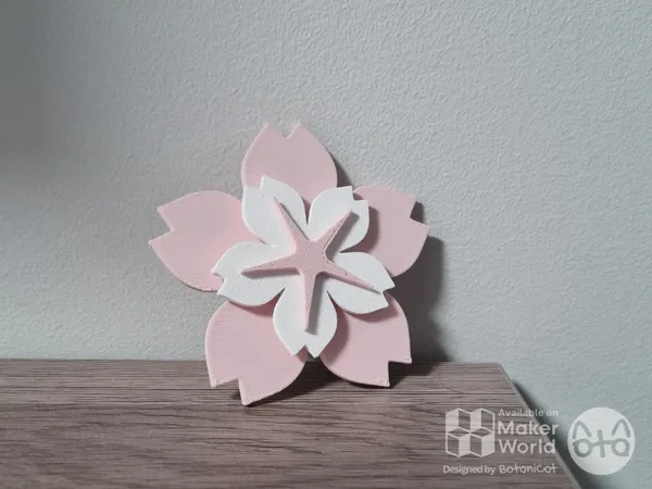 https://makerworld.bblmw.com/makerworld/model/US51ca0776192819/design/2025-01-05_f7c7278597d46.png