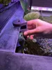 TOP PLATE HANGER AquariumPlantHolderByGAPI 0.24mm layer