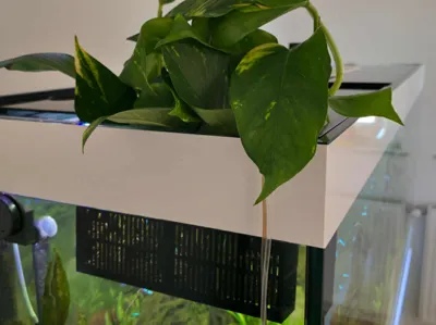 Aquarium Plant Holder ByGAPI