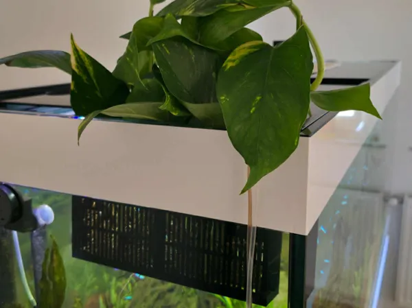 https://makerworld.bblmw.com/makerworld/model/US51cac8b10097d7/design/2025-07-30_065335ffbda1d8.jpg