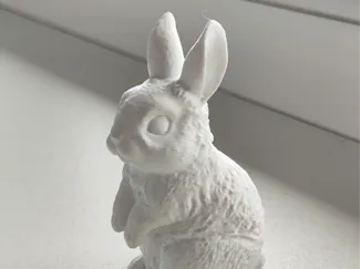 Cute Bunny Rabbit