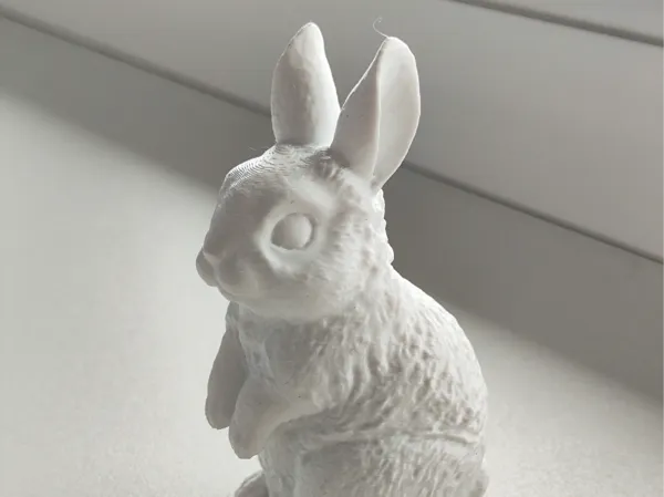 https://makerworld.bblmw.com/makerworld/model/US51d1406584c6f5/design/2025-02-28_3789b083aebde.jpg