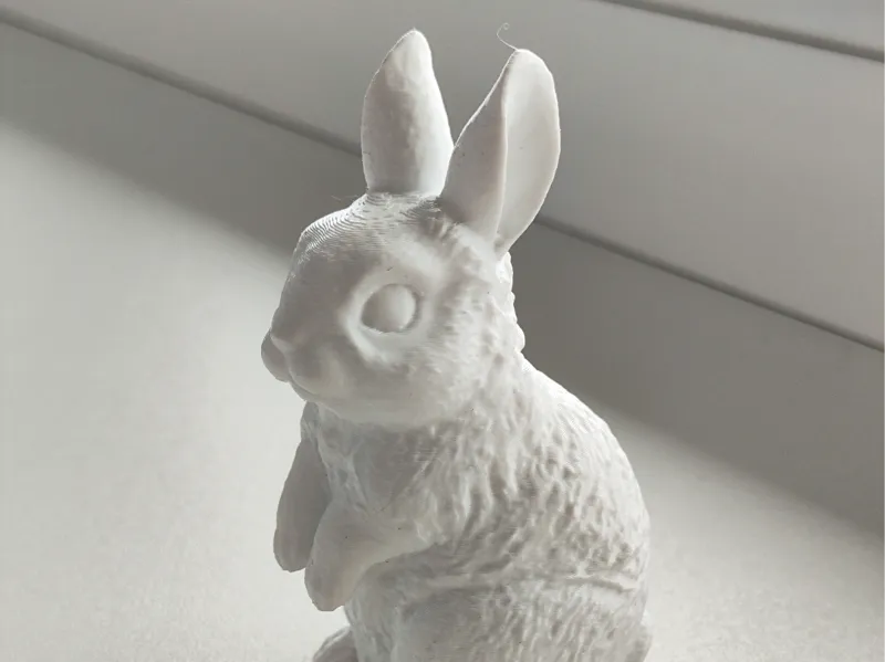 Cute Bunny Rabbit