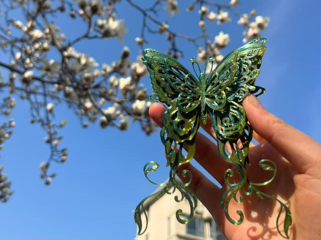 纸雕 蝴蝶