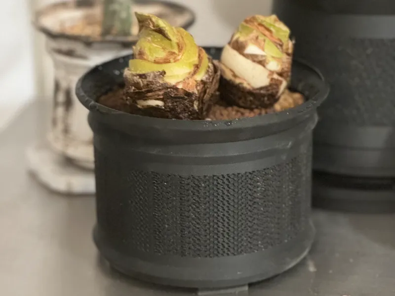 Planter7