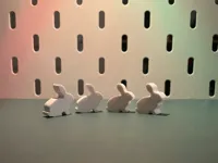 x20 Mini Bunnies