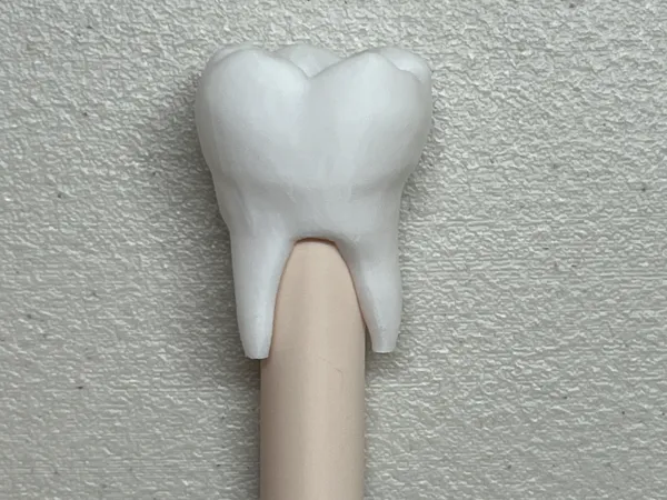 https://makerworld.bblmw.com/makerworld/model/US51e4bb1da8df6f/design/2025-03-07_930c71e758e14.jpg