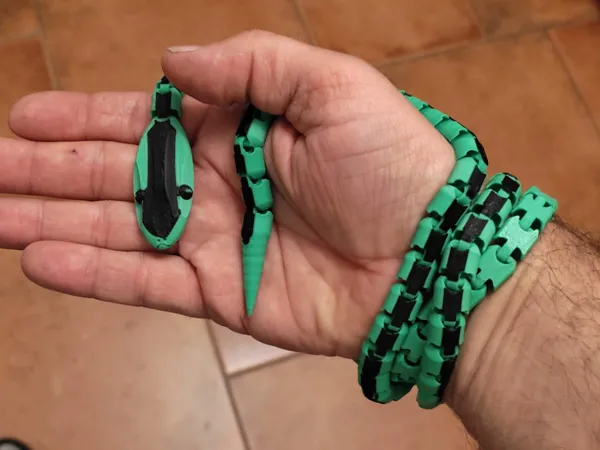 https://makerworld.bblmw.com/makerworld/model/US51e953c1a698b3/design/2025-03-28_7591c568ae57.jpg