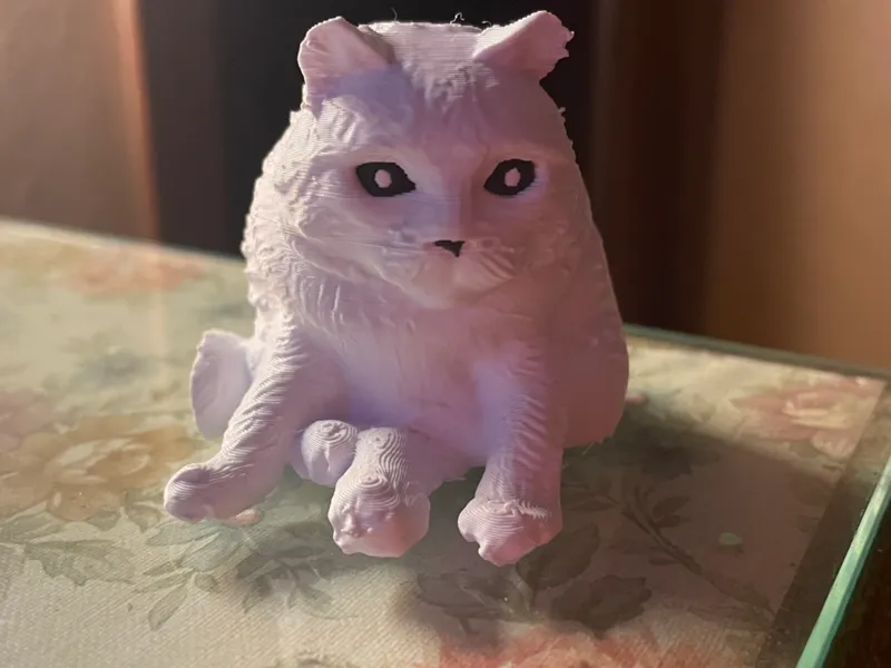 gatto