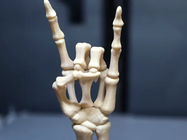 https://makerworld.bblmw.com/makerworld/model/US51f188f042cbbc/design/2025-10-11_1280a8114b65f.jpg