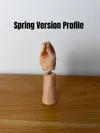 Spring Version